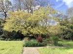 Images for Rowans Park, Lymington, Hampshire, SO41