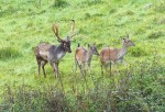 Images for Sway, Lymington, Hampshire