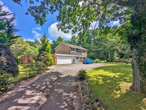 View Full Details for Brockenhurst
