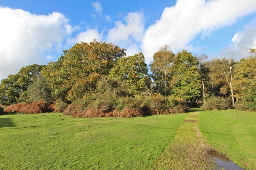 Images for Brockenhurst, Hampshire