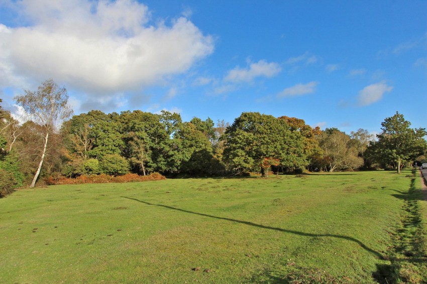 Images for Brockenhurst, Hampshire