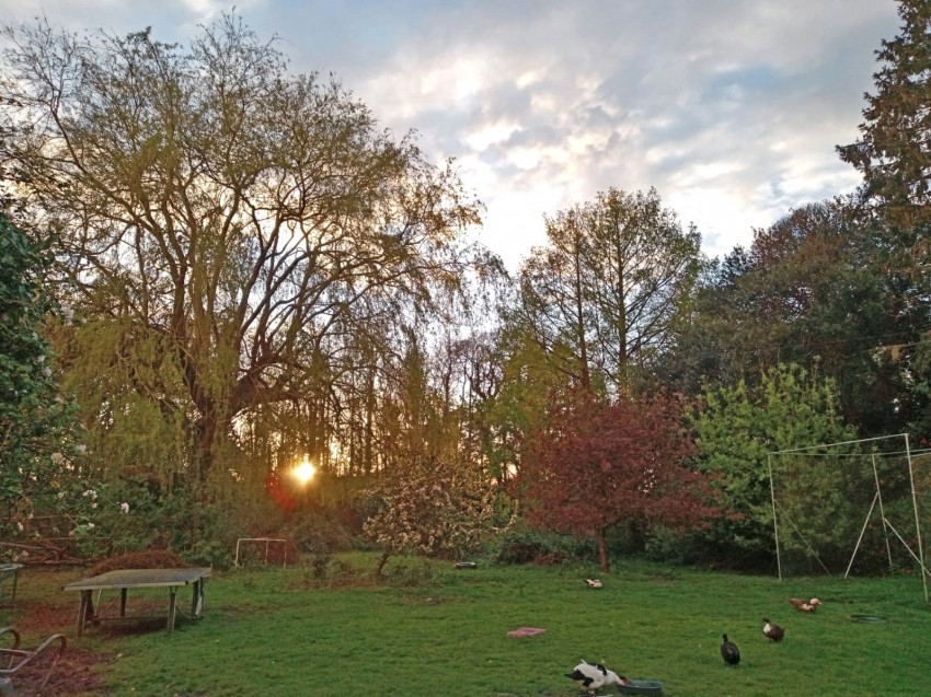 Images for Sopley, Christchurch, Hampshire