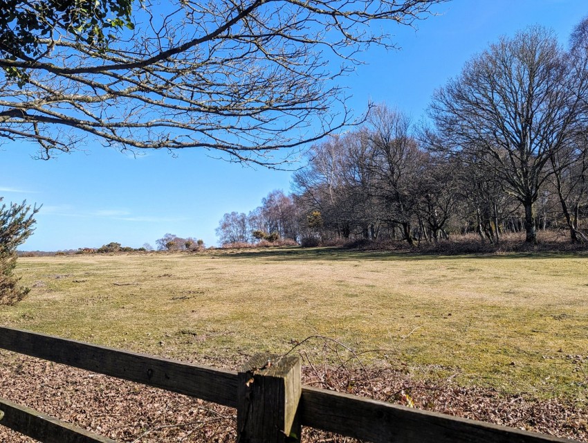 Images for Lyndhurst, Hampshire