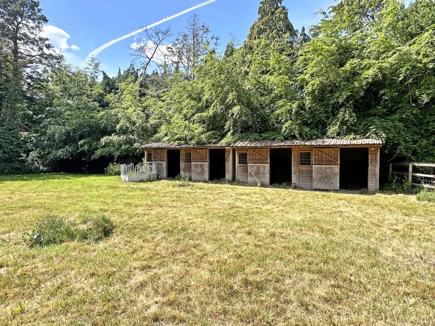 Images for Ringwood, Hampshire