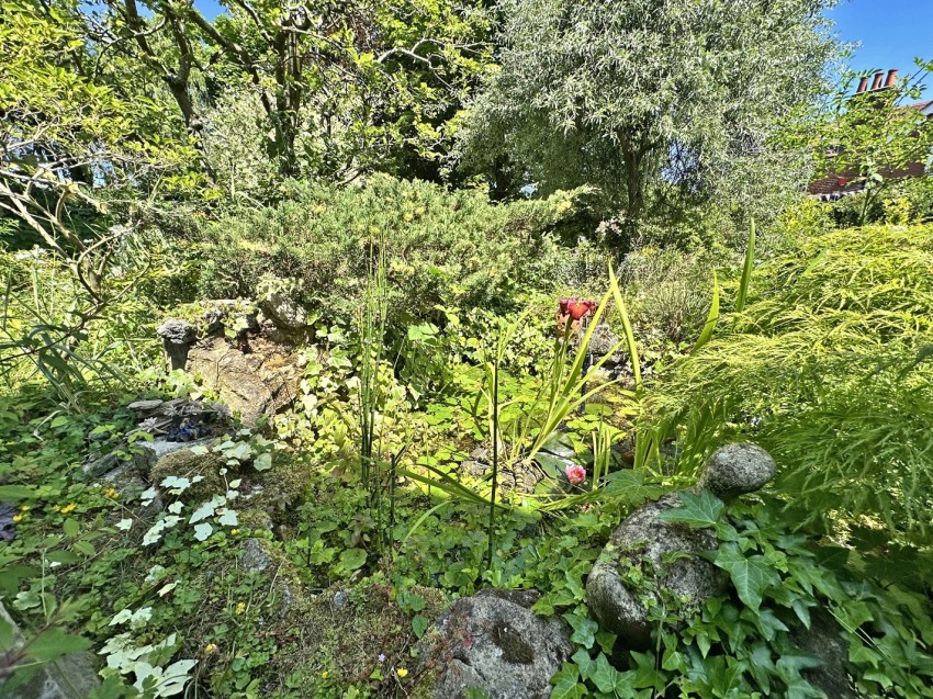 Images for Brockenhurst, Hampshire