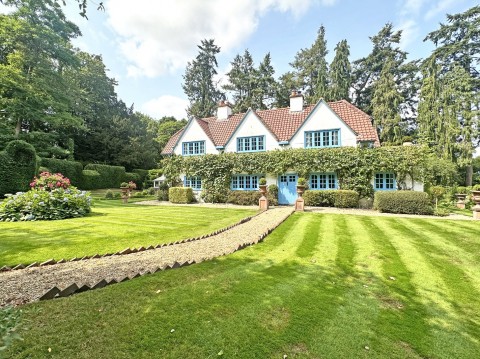 View Full Details for Burley, Ringwood, Hampshire