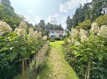 Images for Burley, Ringwood, Hampshire