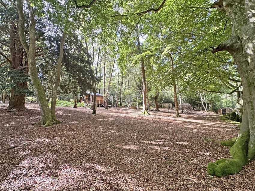 Images for Exbury, Beaulieu