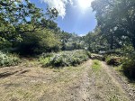 Images for Exbury, Beaulieu