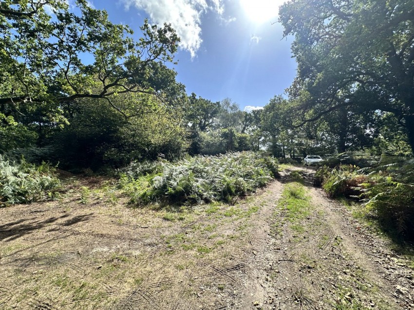 Images for Exbury, Beaulieu