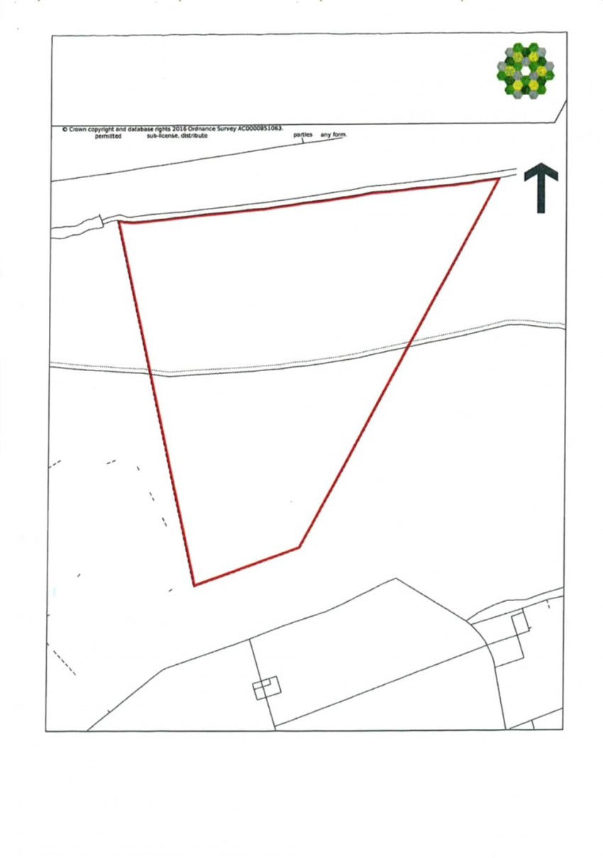Images for Exbury, Beaulieu
