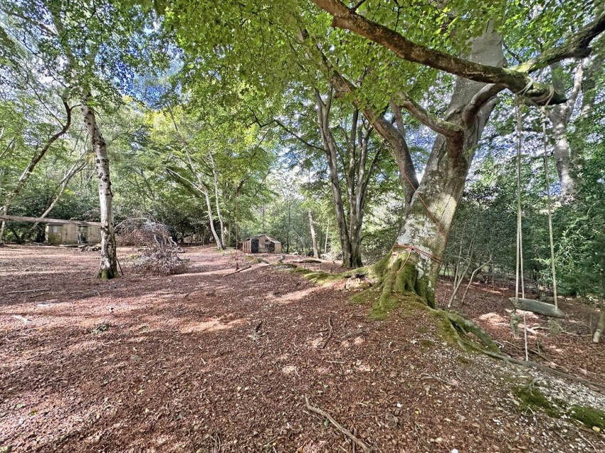 Images for Exbury, Beaulieu