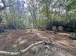 Images for Exbury, Beaulieu