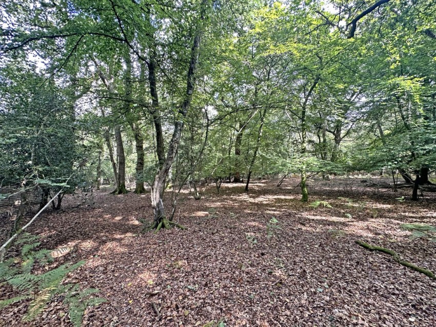 Images for Exbury, Beaulieu