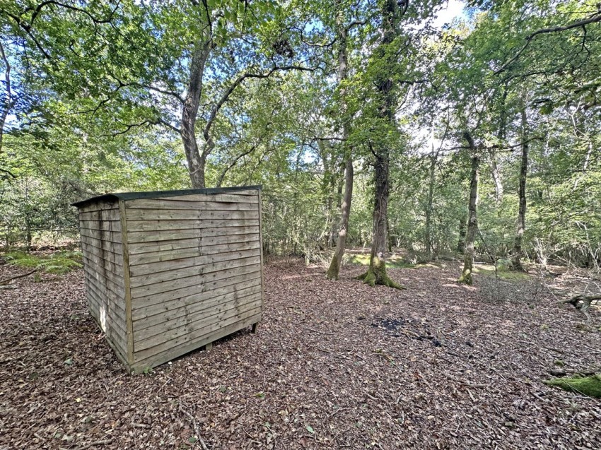 Images for Exbury, Beaulieu