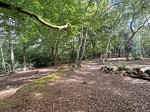 Images for Exbury, Beaulieu