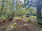Images for Exbury, Beaulieu