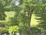 Images for Minstead, Lyndhurst, Hampshire