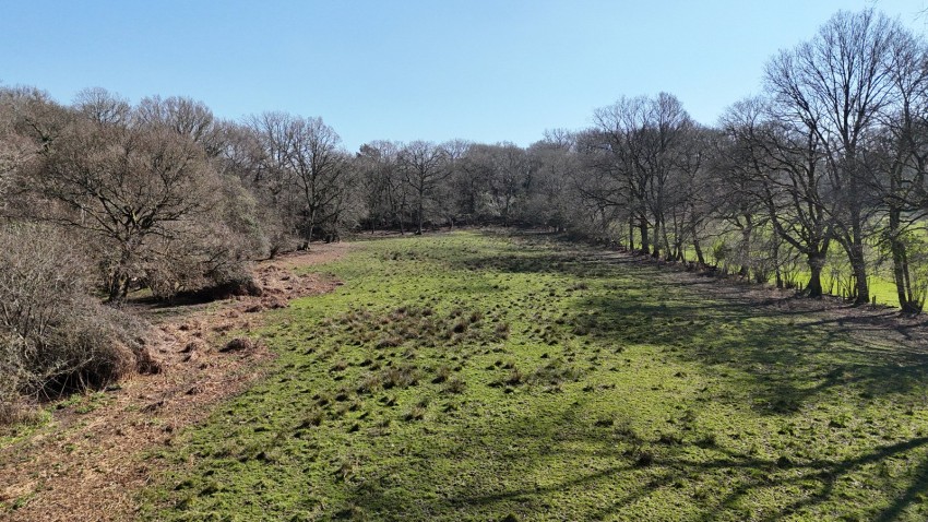 Images for Linwood, Ringwood, Hampshire
