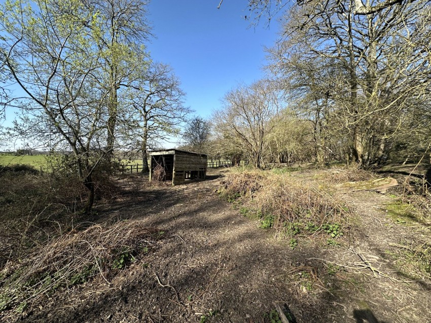 Images for Linwood, Ringwood, Hampshire