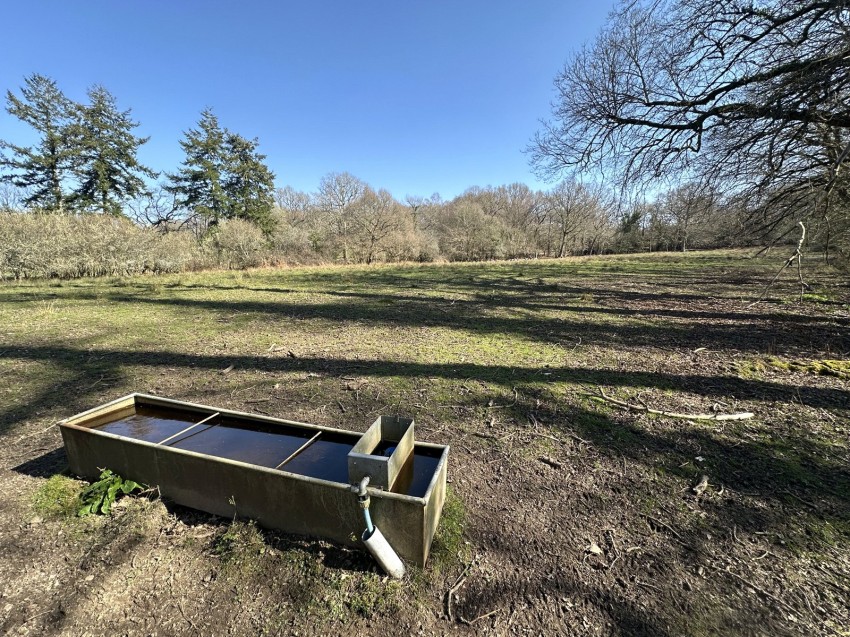 Images for Linwood, Ringwood, Hampshire