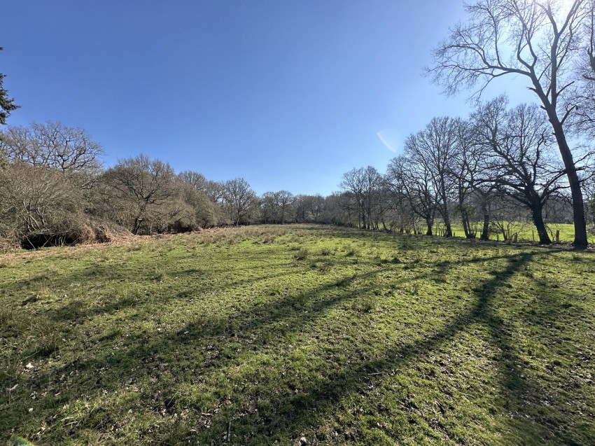 Images for Linwood, Ringwood, Hampshire