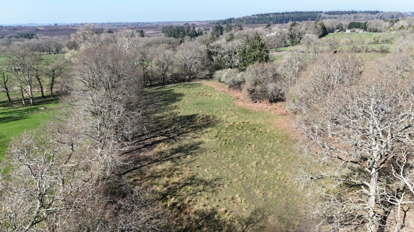 Images for Linwood, Ringwood, Hampshire