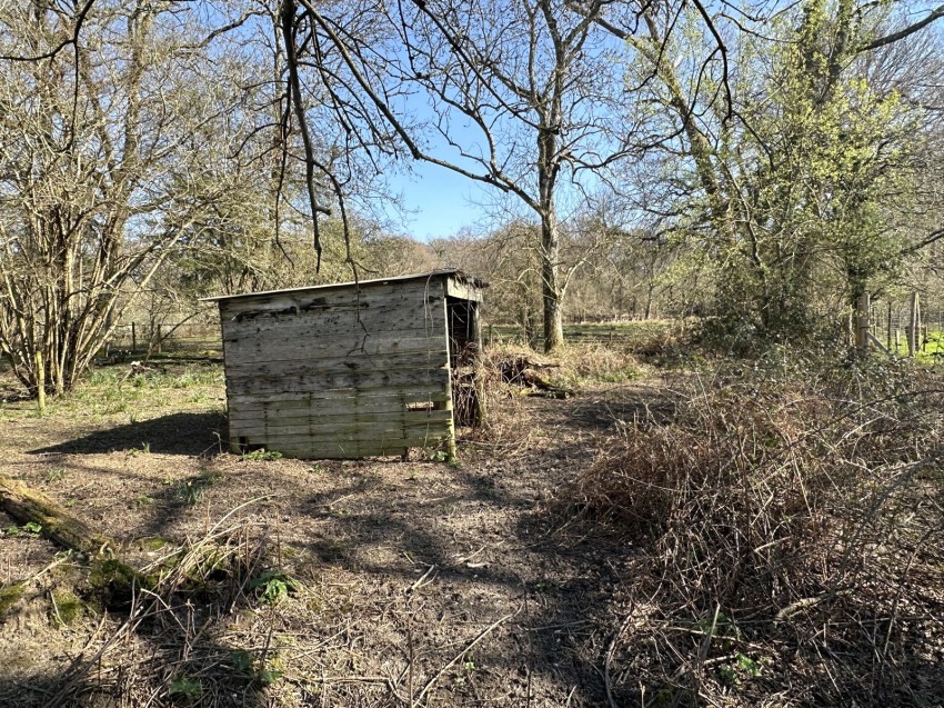 Images for Linwood, Ringwood, Hampshire