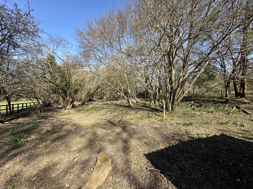 Images for Linwood, Ringwood, Hampshire