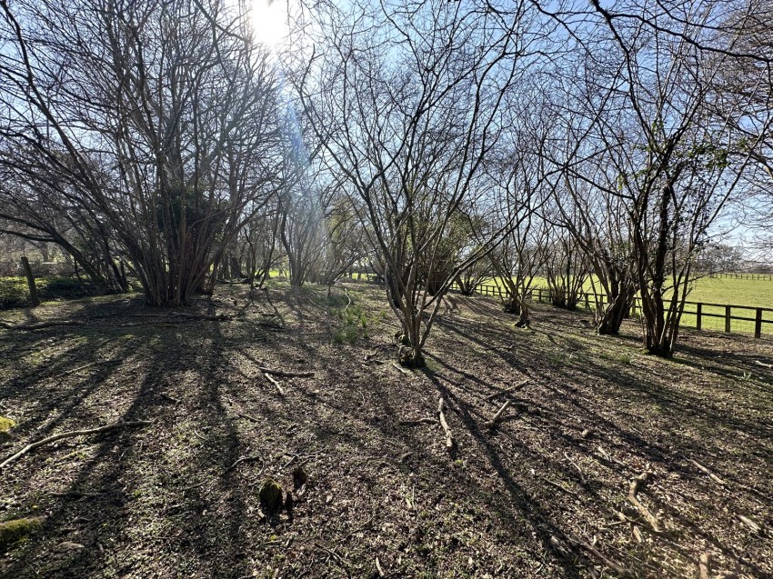 Images for Linwood, Ringwood, Hampshire