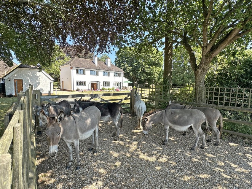 Images for East Boldre, Brockenhurst, Hampshire