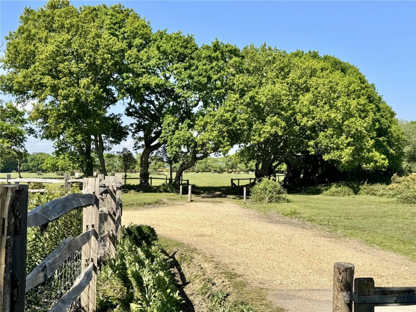 Images for Pilley, Lymington, Hampshire