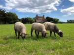 Images for Milford on Sea, Lymington, Hampshire