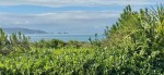 Images for Milford on Sea, Lymington, Hampshire