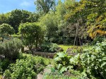 Images for Milford on Sea, Lymington, Hampshire