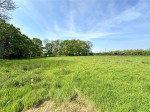 Images for New Milton, Hampshire