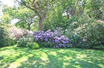 Images for New Milton, Hampshire