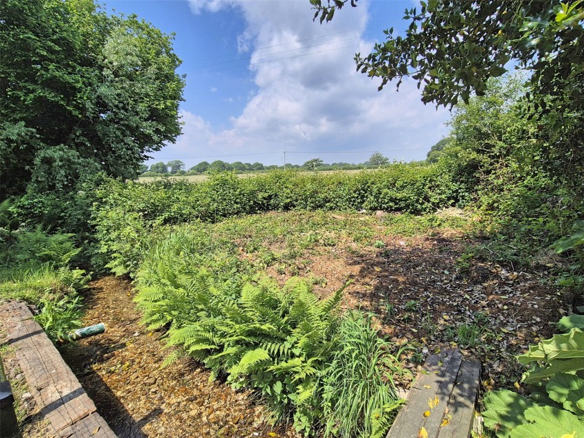 Images for Bransgore, Christchurch, Hampshire