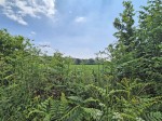 Images for Bransgore, Christchurch, Hampshire