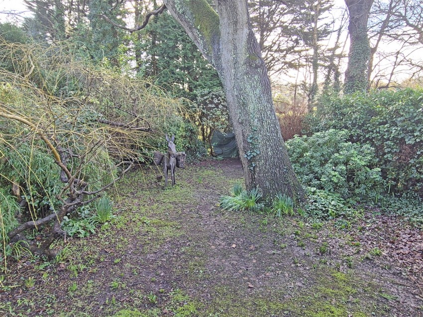 Images for Christchurch, Dorset