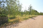 Images for Tiptoe, Lymington, Hampshire
